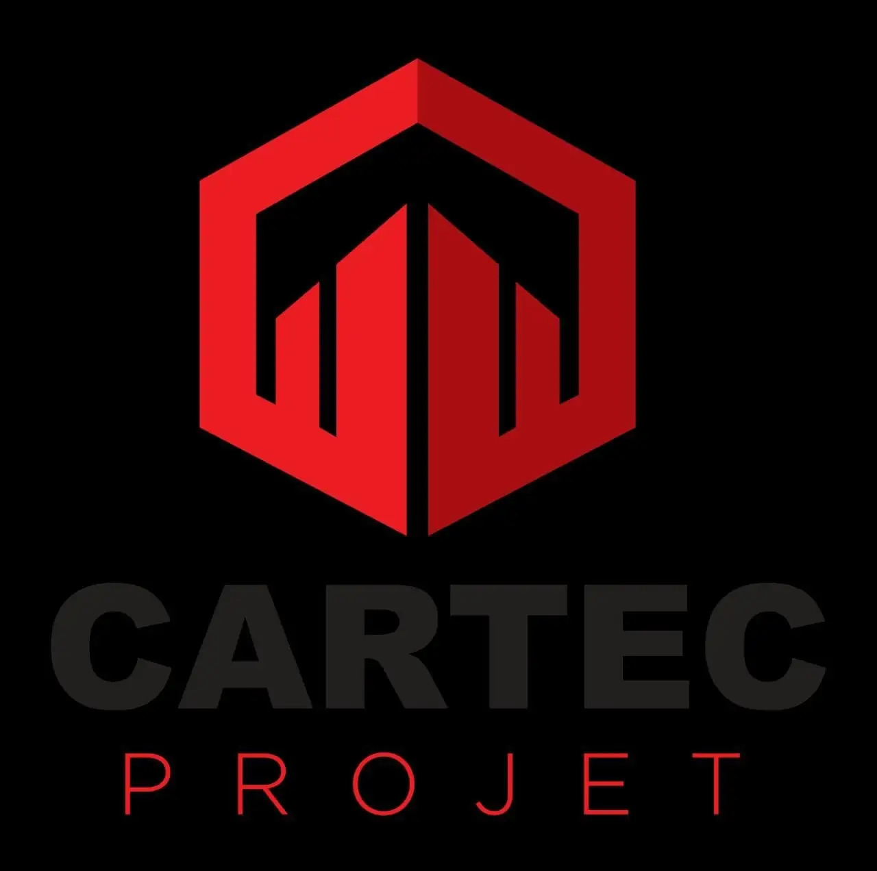 Cartec Project